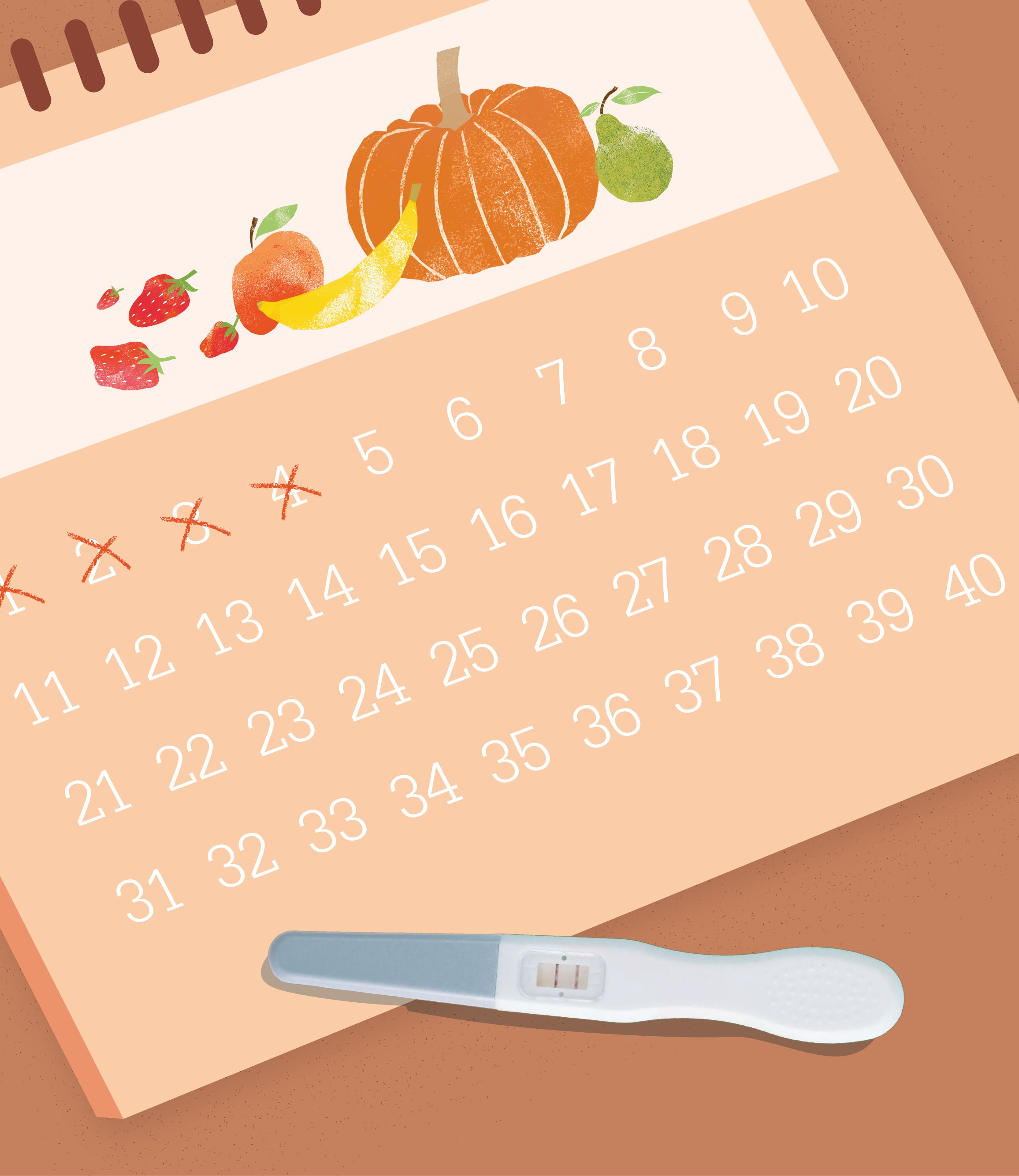 Schwangerschaftskalender