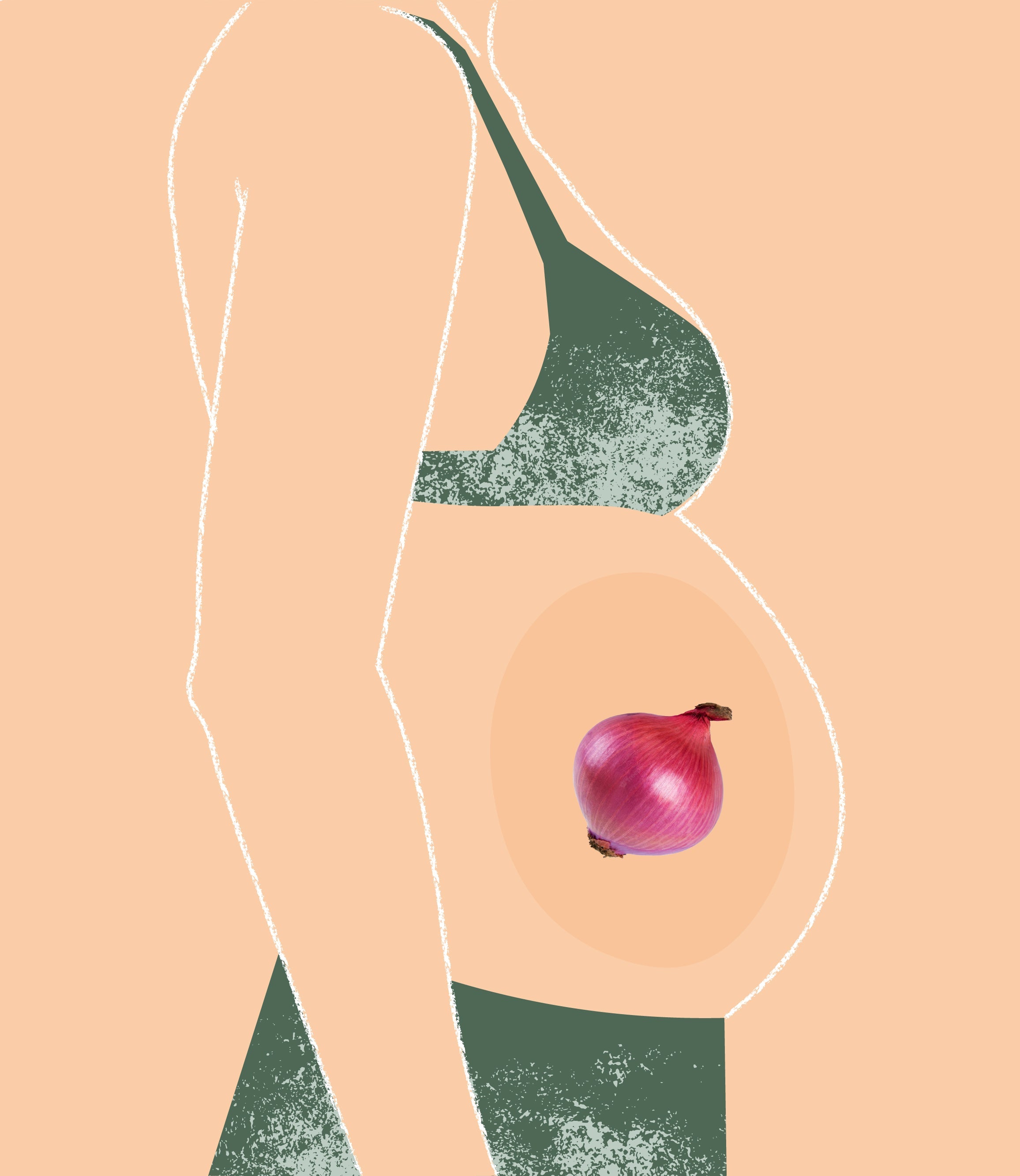 Zweites Trimester